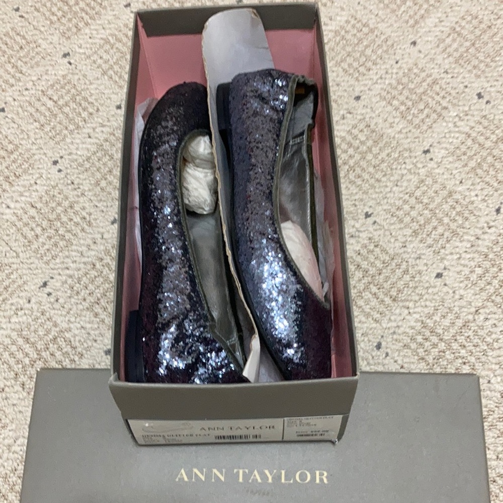 Ann Taylor Ballet Flats